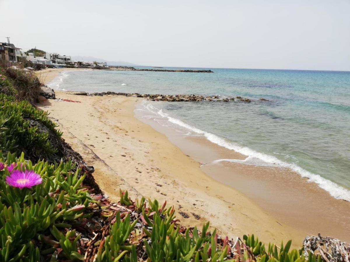 Panasia Seaview Apartments Kokkini Hani エクステリア 写真